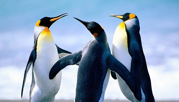 Differentiate From The Competition by Sharing Your Story Michael Mink